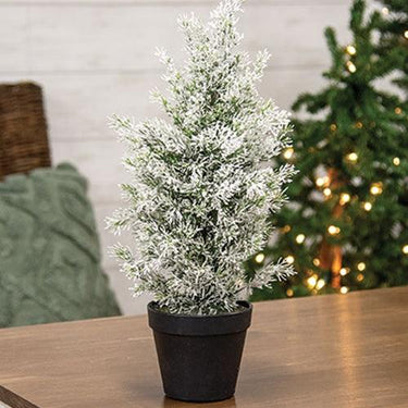 Snowy Juniper Tree in Pot 19 - The Fox Decor